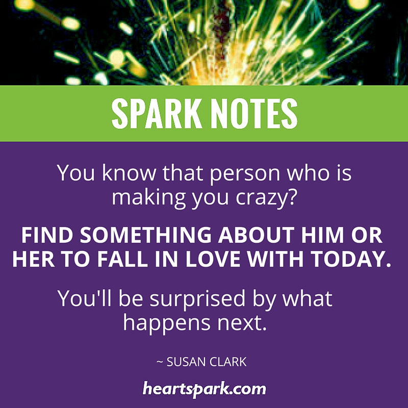 Spark Notes