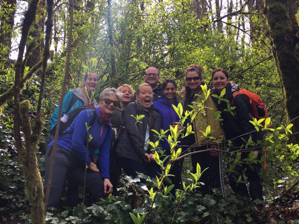 heartspark adventure