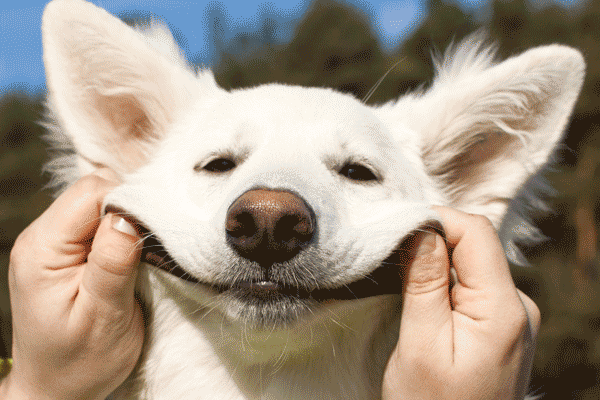 smile!